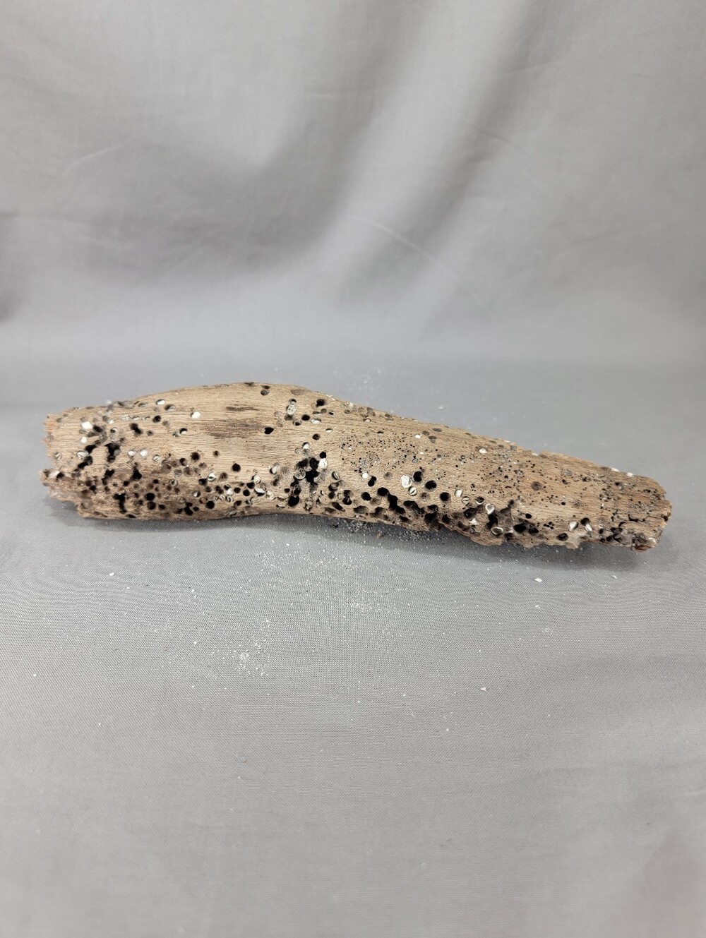 Natural Driftwood Weathered Wood Log Tree Branch Home Decor Crafts Art